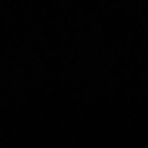 Meet your Posher, Evelyn